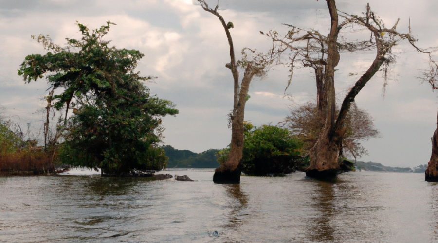 Africa: Gabon