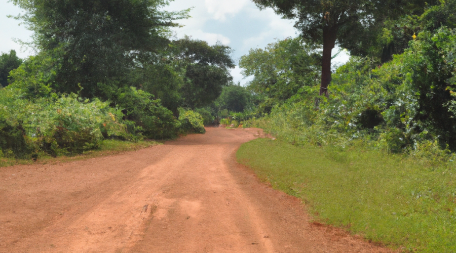 Africa: Central African Republic