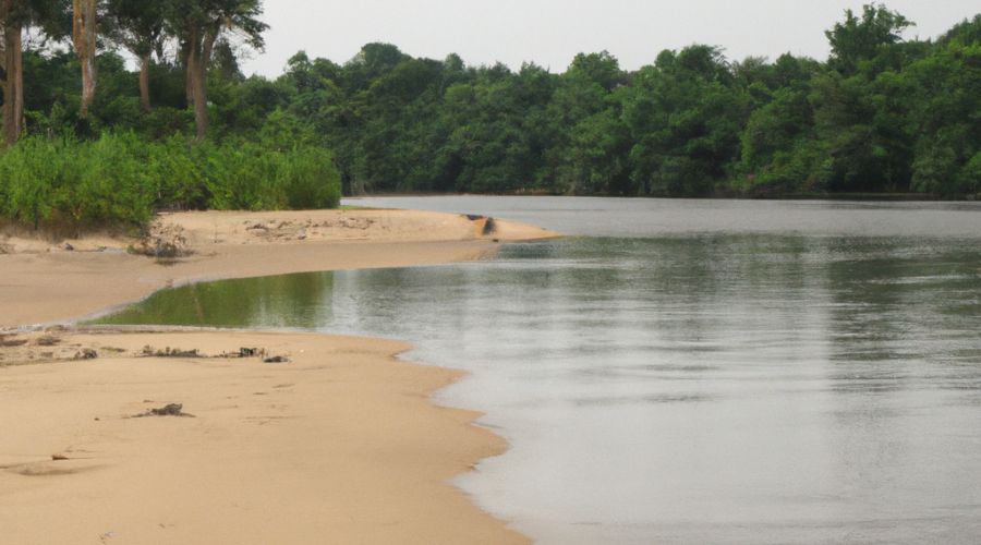 Africa: Gabon