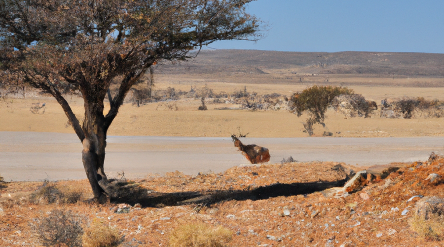 Africa: Namibia