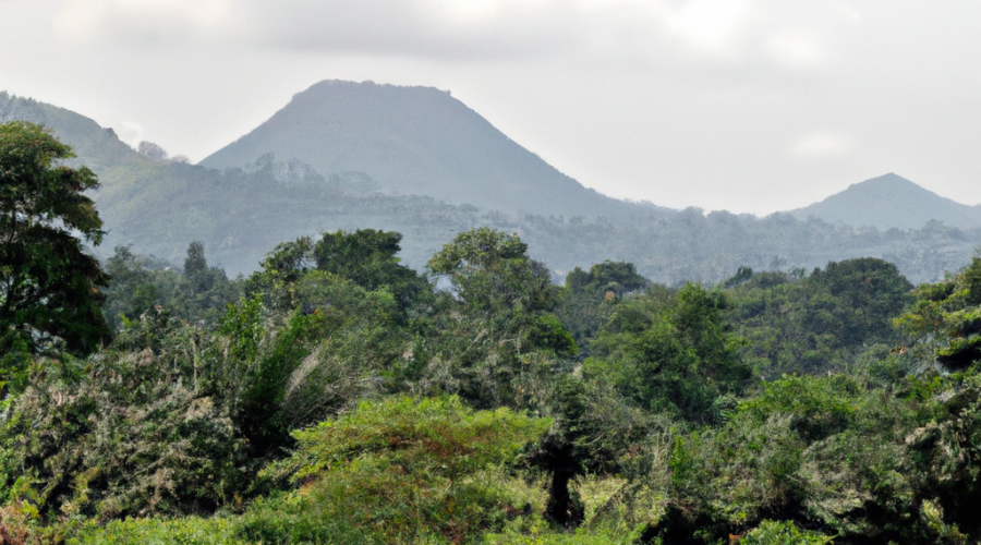 Africa: Equatorial Guinea