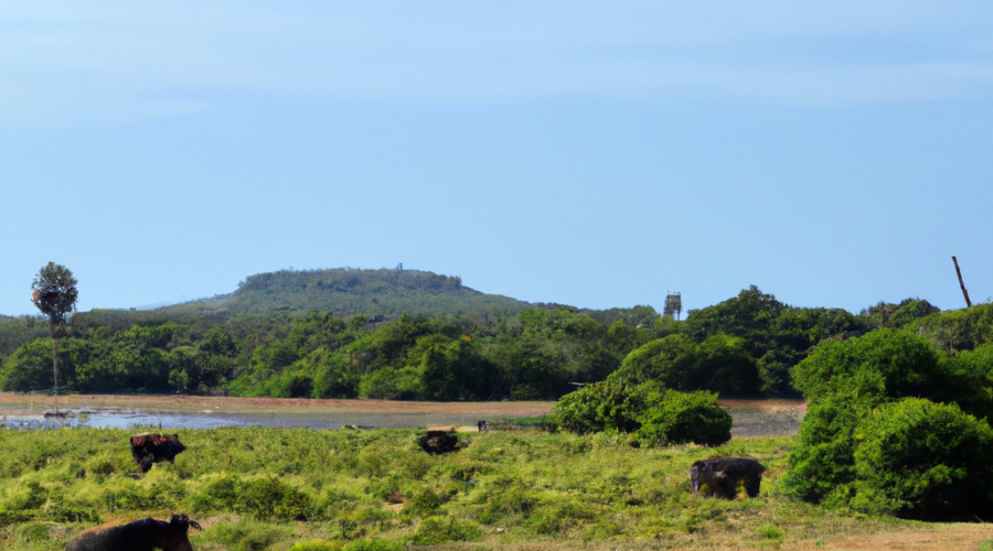 Asia: Sri Lanka