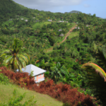 North America: Dominica