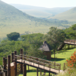 Africa: Swaziland