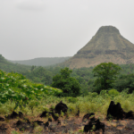 Africa: Guinea