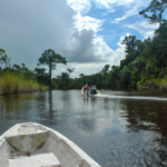 South America: Guyana