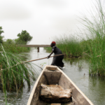 Africa: Benin