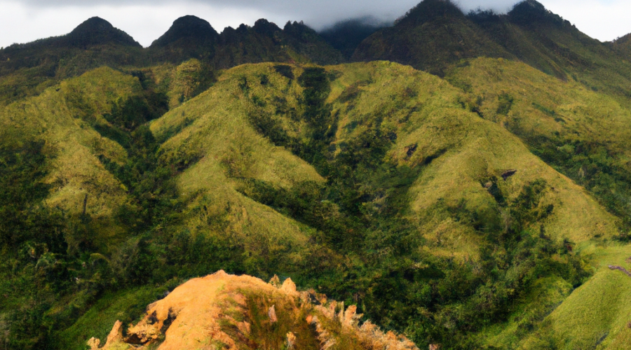 Oceania: Papua New Guinea