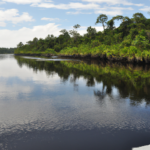 Oceania: Papua New Guinea