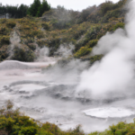 Oceania: New Zealand