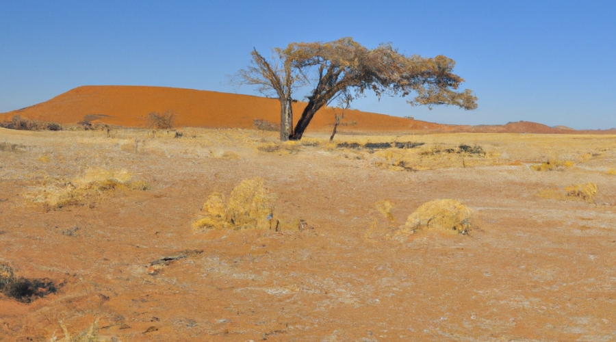 Africa: Namibia