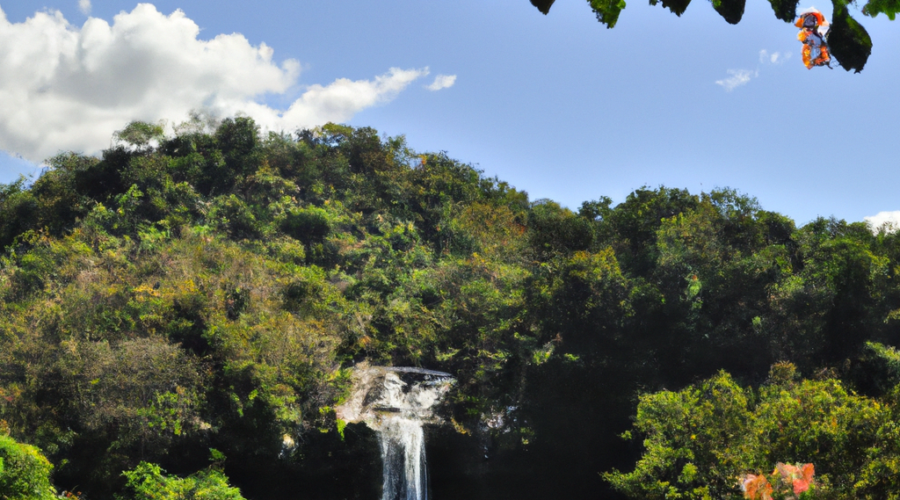 North America: El Salvador