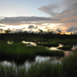 South America: Guyana