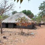 Africa: Guinea Bissau