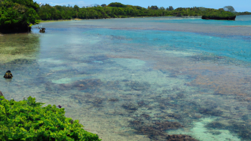 Oceania: Tonga