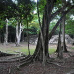 North America: Belize