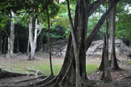 North America: Belize