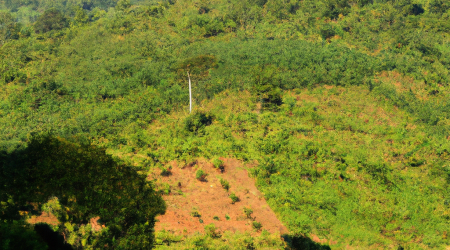 Africa: Burundi