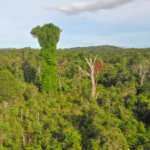 South America: Guyana