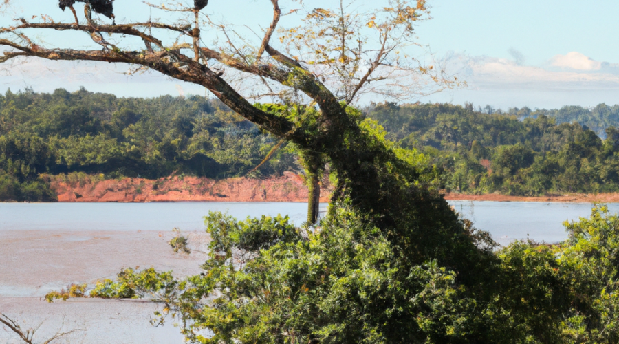 South America: Paraguay