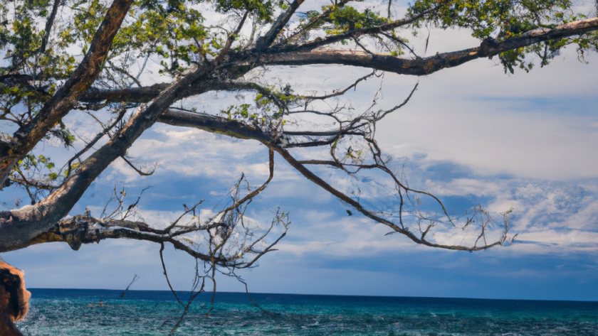 Oceania: Solomon Islands