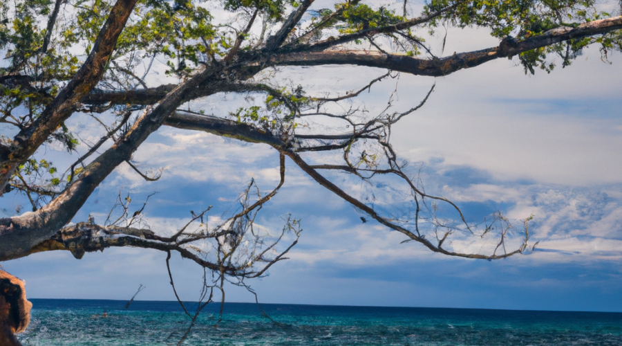 Oceania: Solomon Islands