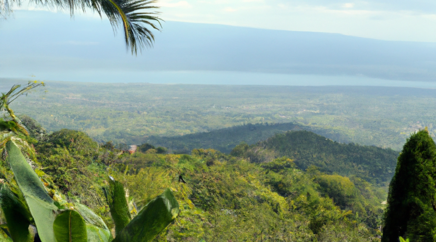 North America: El Salvador