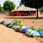 Africa: Burkina Faso