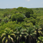 North America: Belize