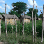 Africa: Benin