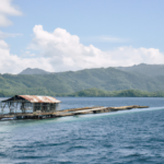 Oceania: Papua New Guinea