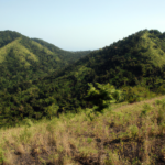 Africa: Sierra Leone