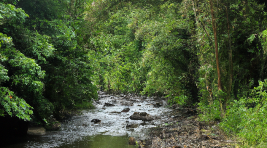 North America: Grenada