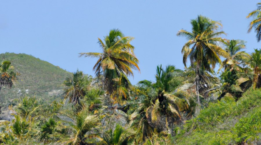 North America: Saint Vincent and the Grenadines