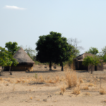 Africa: South Sudan